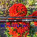 Спиннинг Norstream Kando-X Jig